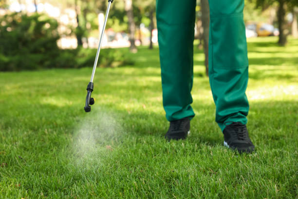 Best Pest Control Near Me  in Montgomery, GA