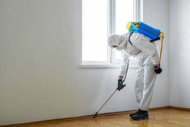 Best Wildlife Control Services  in Montgomery, GA