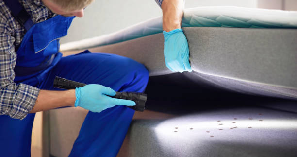 Best Pest Inspection Near Me  in Montgomery, GA