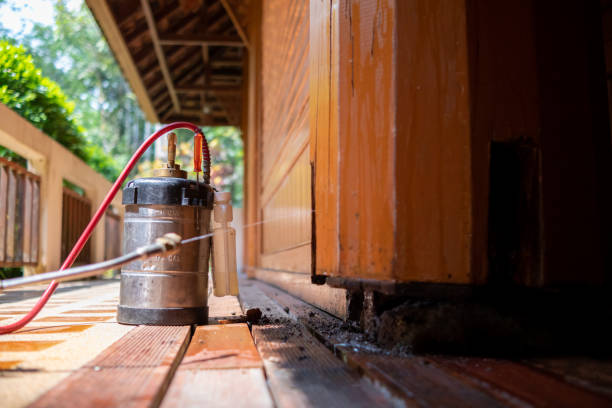 Best Pest Control Treatment  in Montgomery, GA