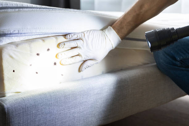Flea Control Services in Montgomery, GA