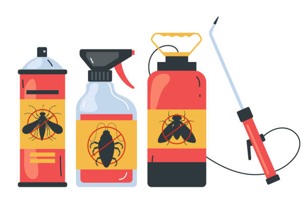 Best Spider Control Near Me  in Montgomery, GA