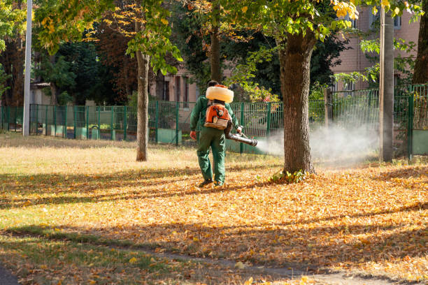 Best Pest Prevention Services  in Montgomery, GA