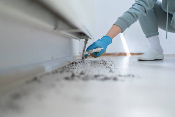 Trusted Montgomery, GA Pest Control Experts